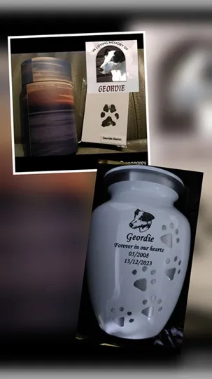 GEORDIE HOME.jpg