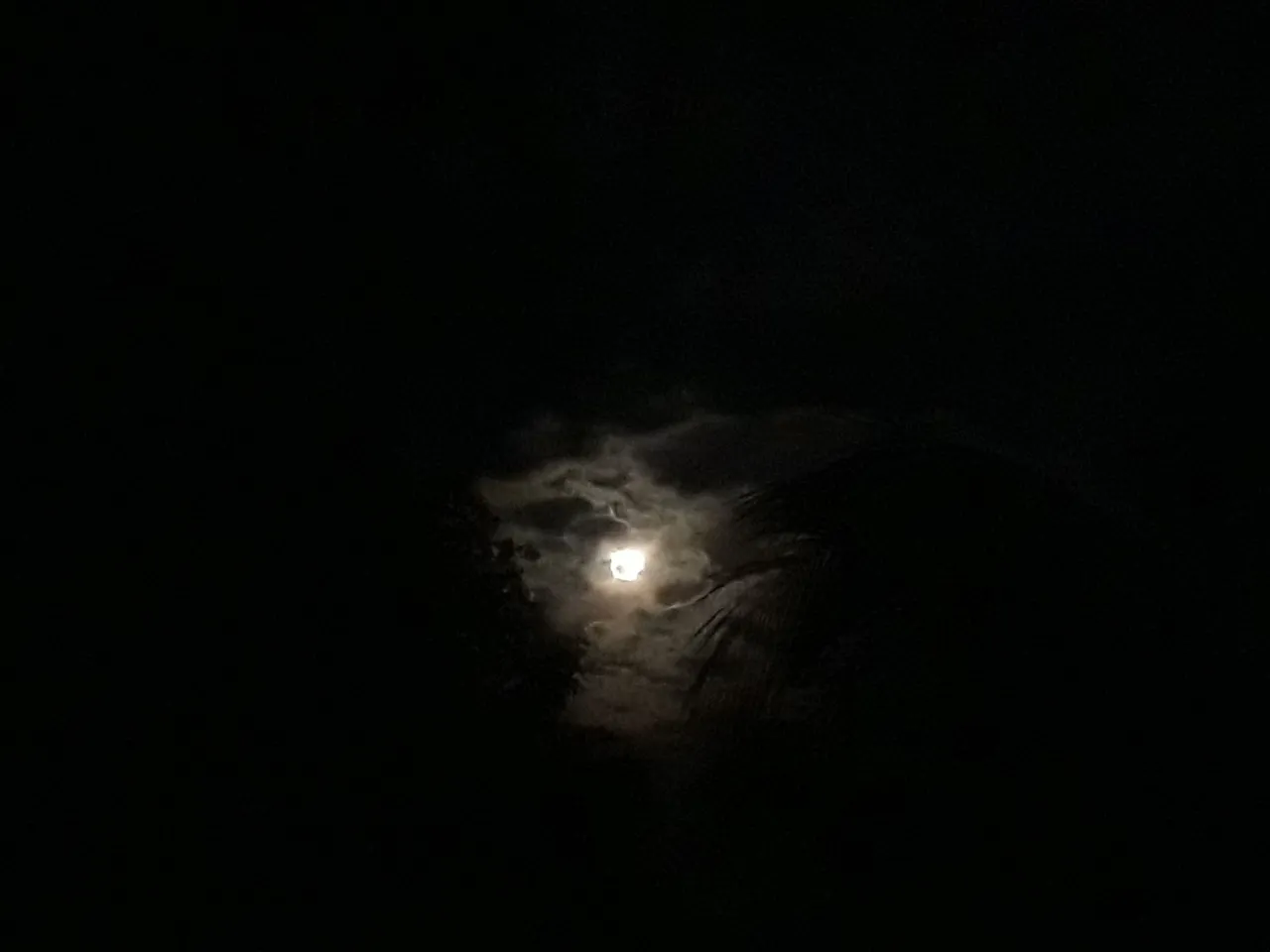 20240424_202851.jpg