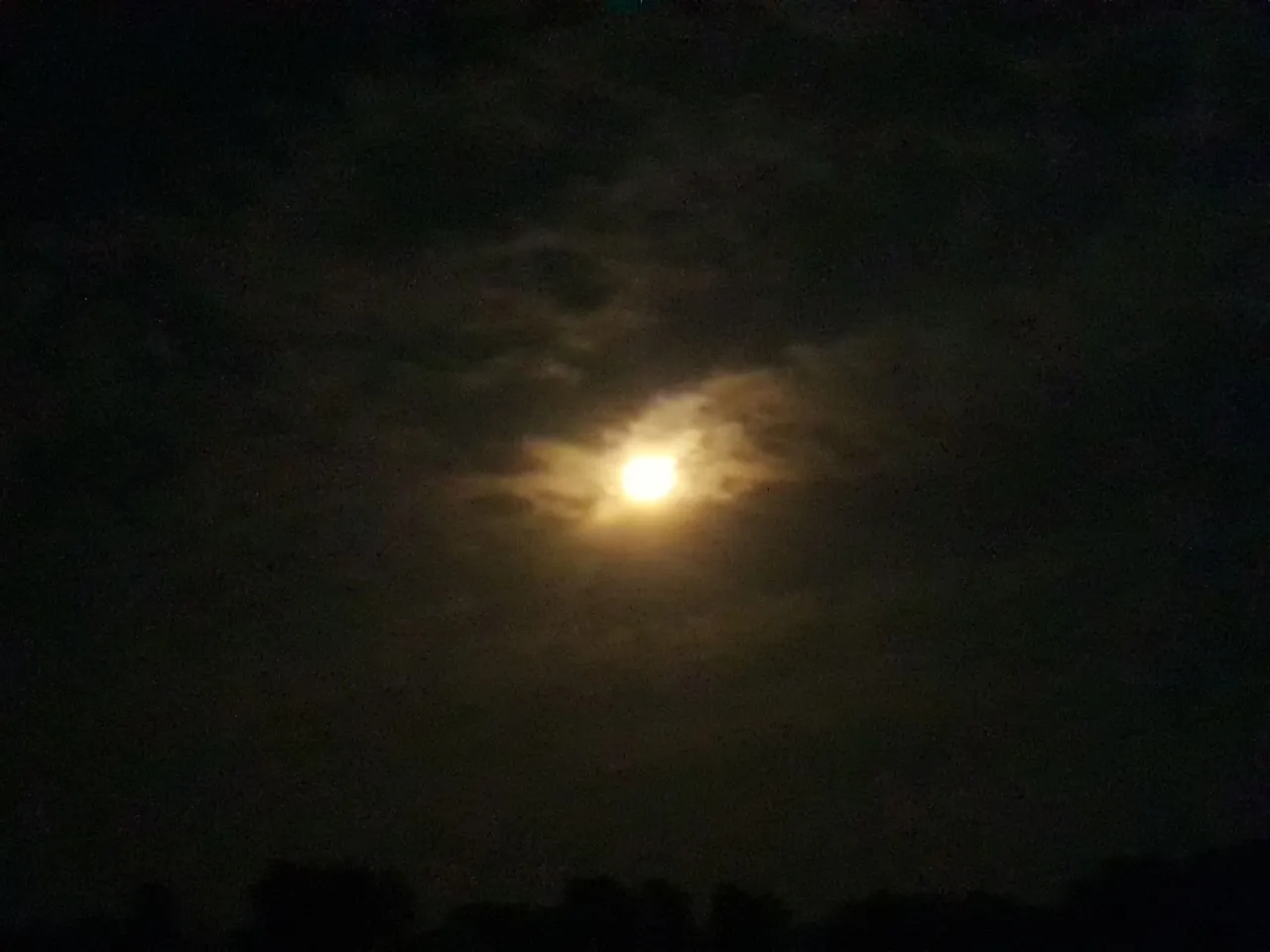 20240424_202146.jpg
