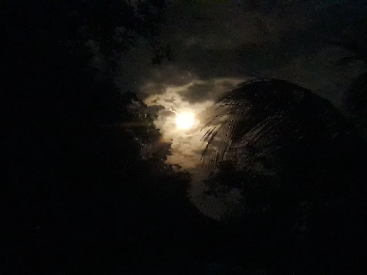 20240424_202904.jpg