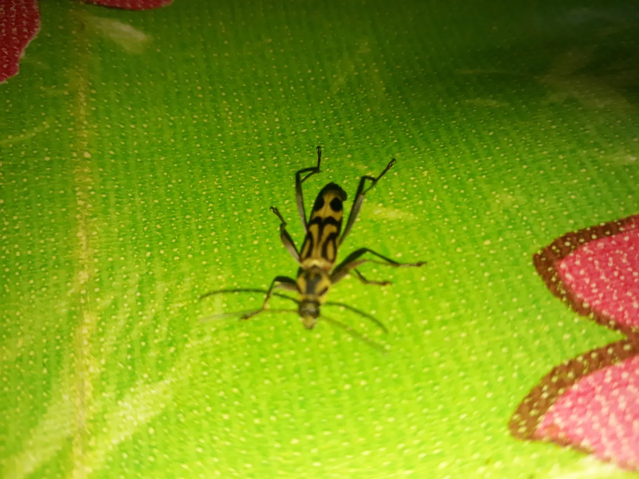 20210320_142803.jpg