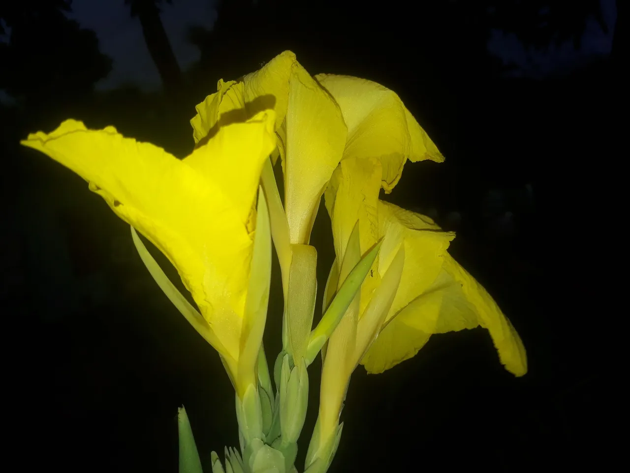 20220922_175353.jpg
