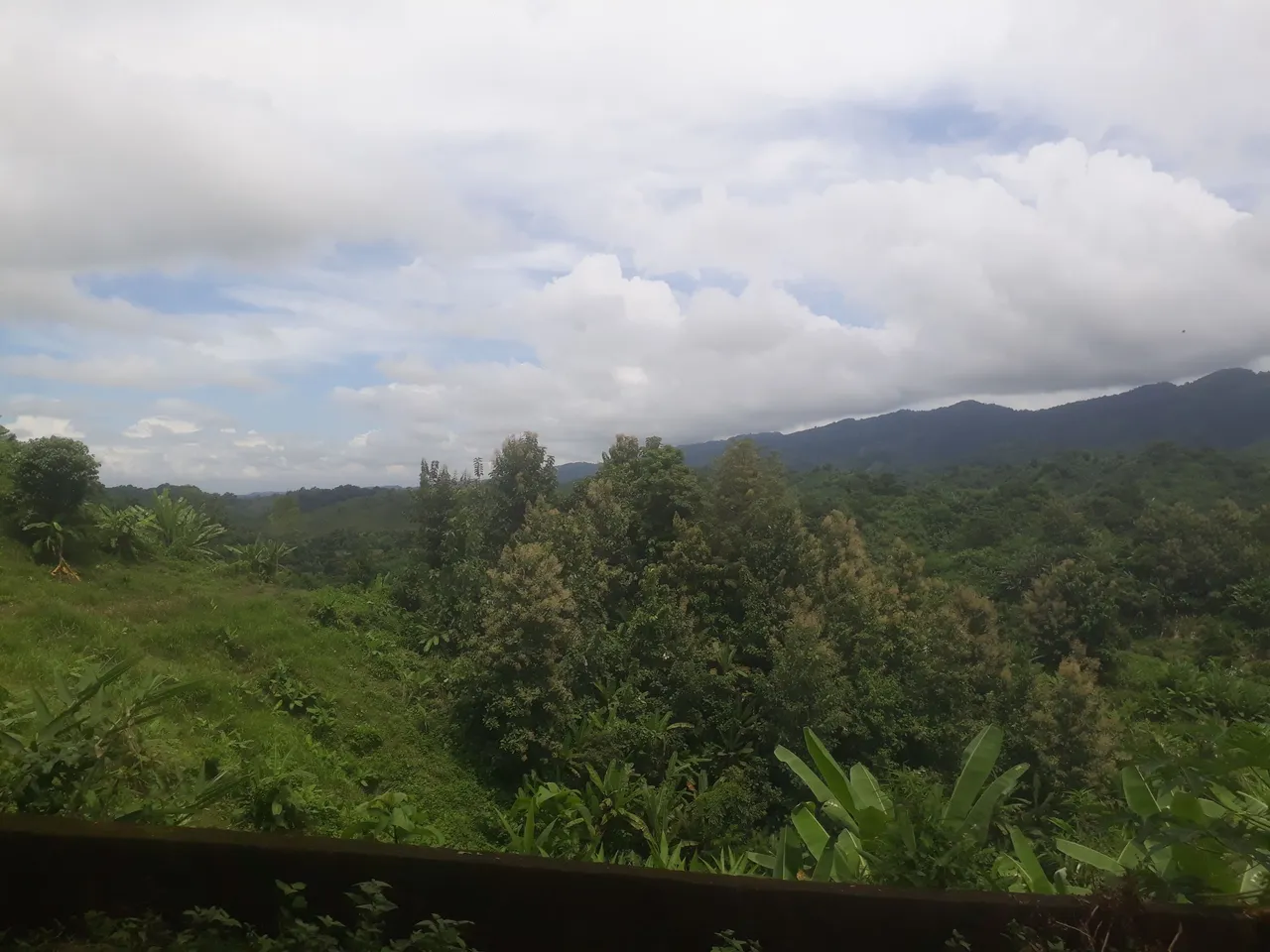 20220910_111402.jpg