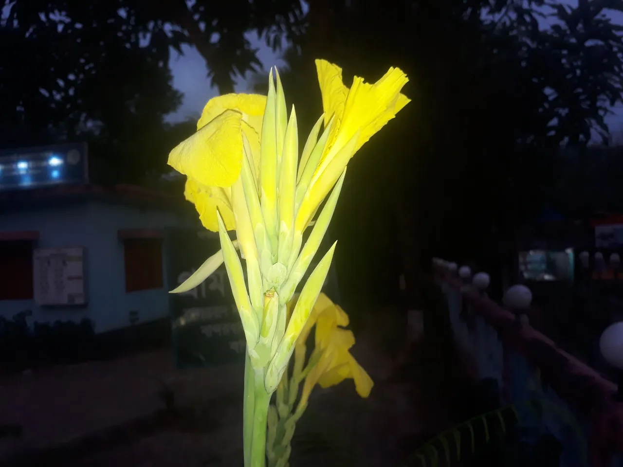 20220922_175417.jpg