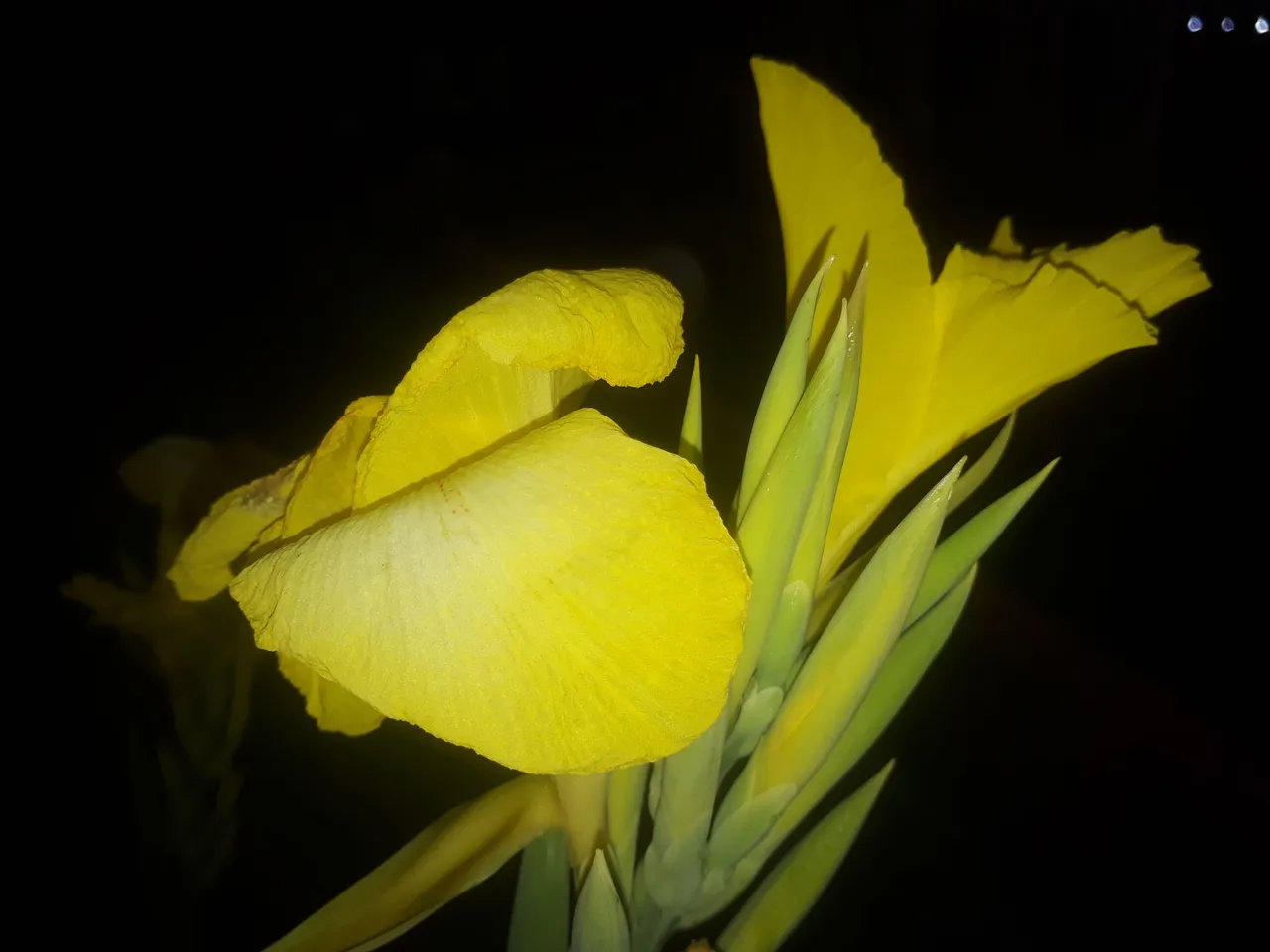 20220922_175344.jpg
