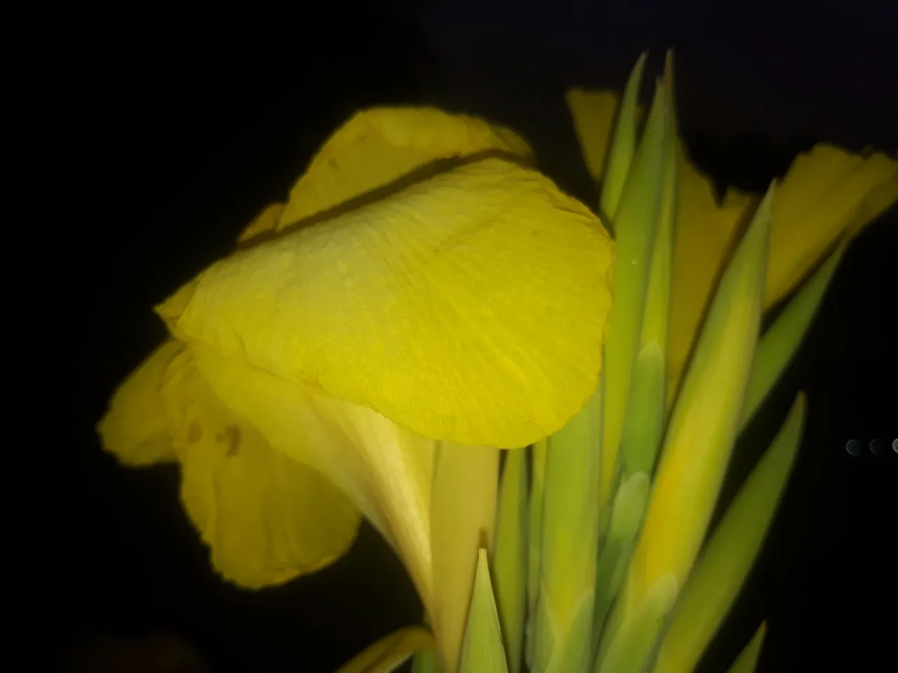 20220922_175338.jpg