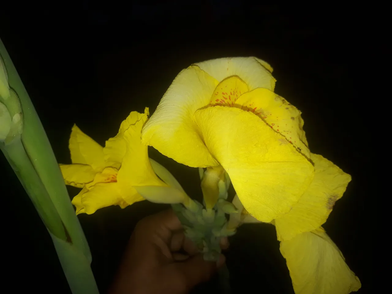 20220922_175400.jpg