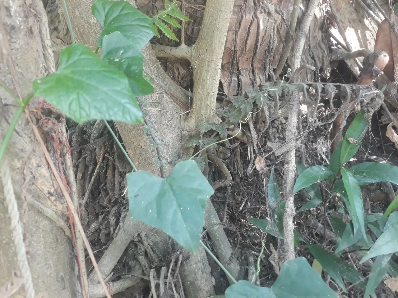 20210529_143213.jpg