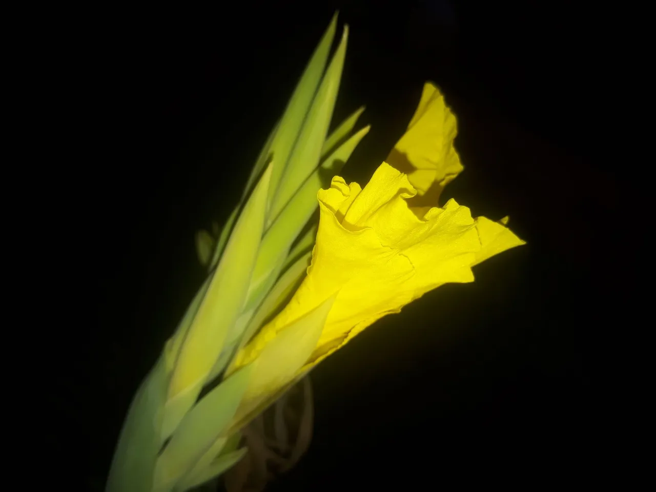 20220922_175424.jpg