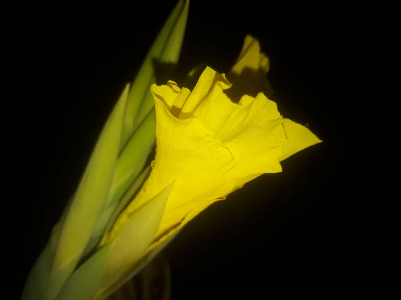 20220922_175430.jpg