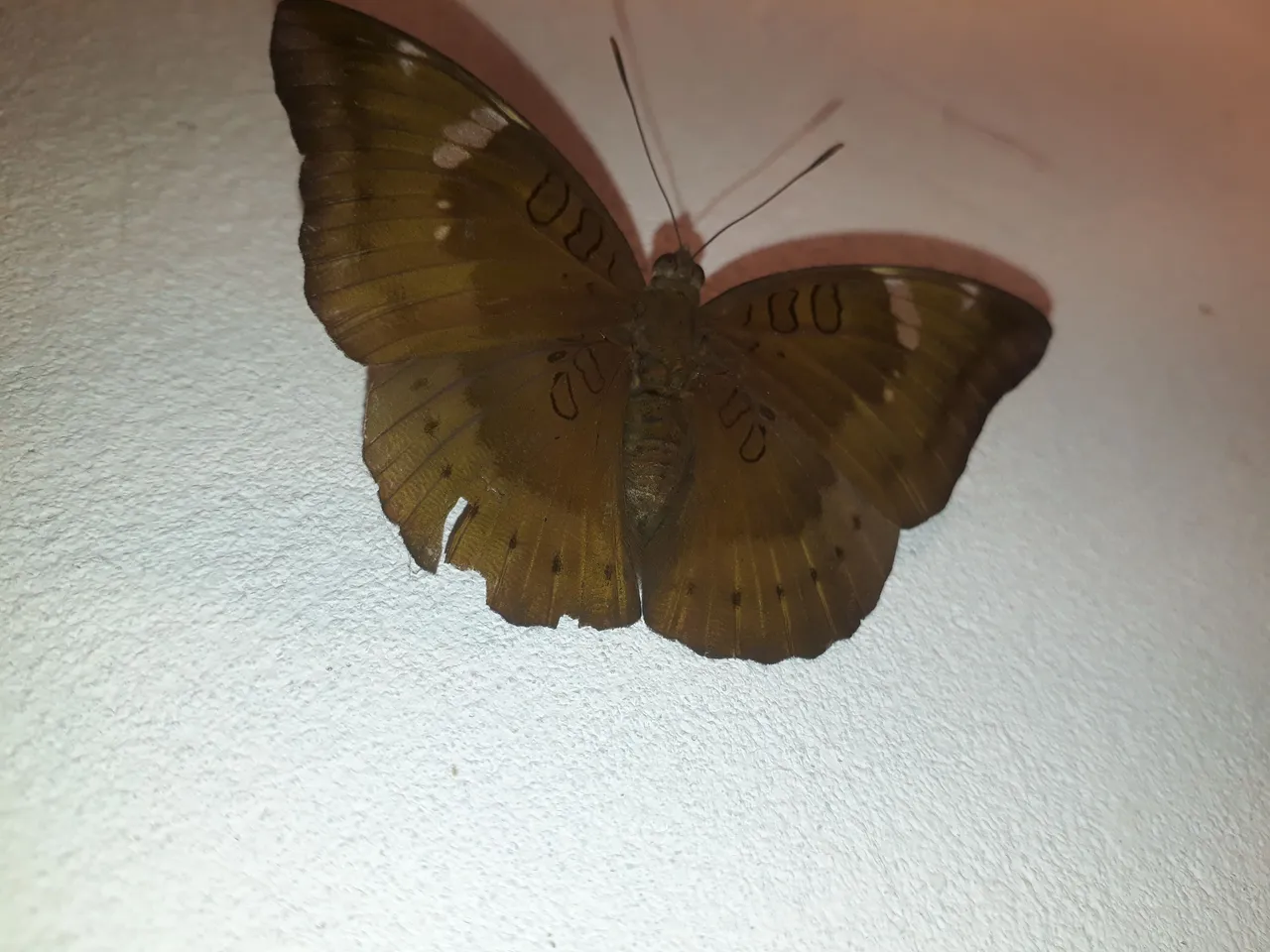 20210329_215420.jpg