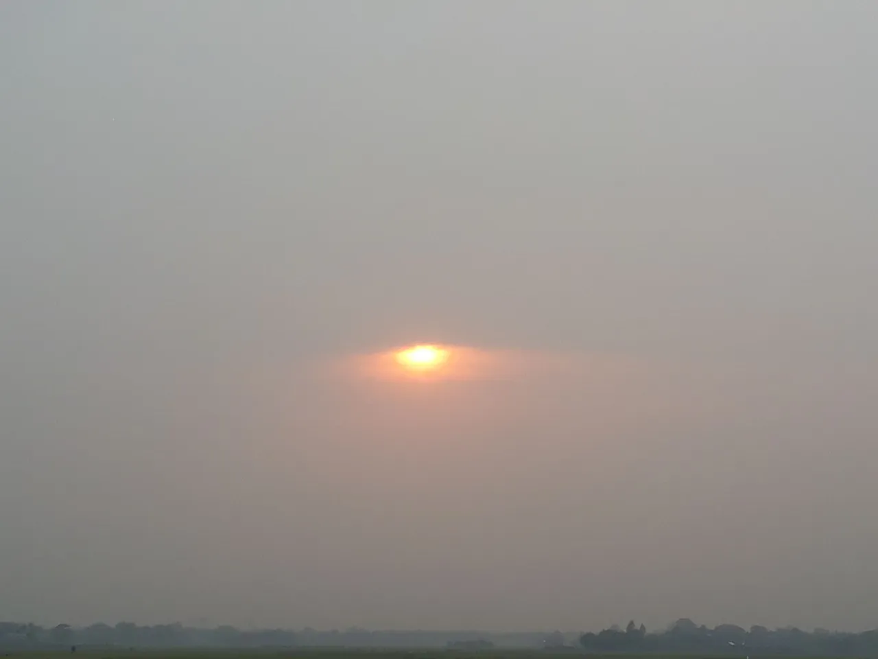 20210422_173736.jpg