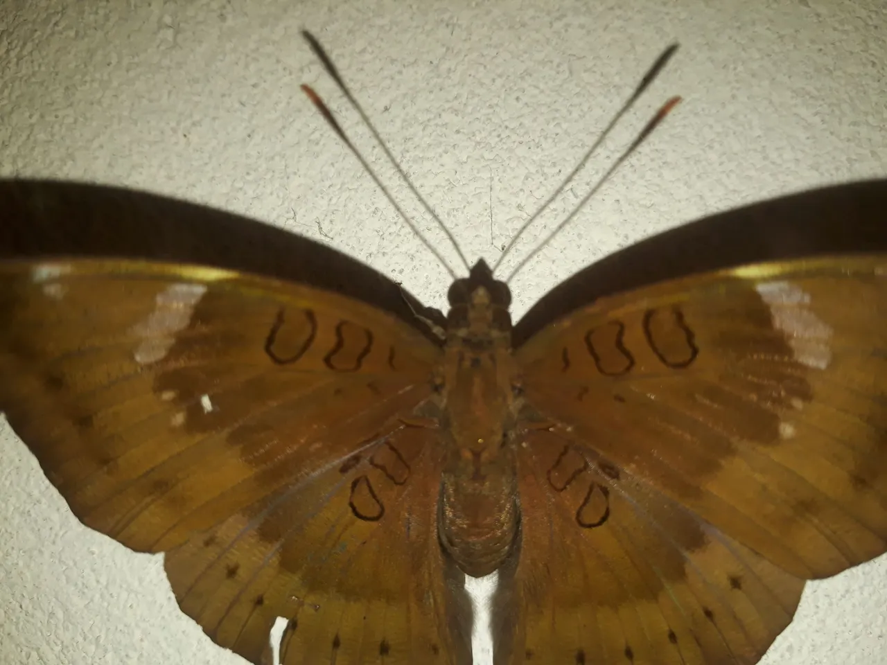 20210329_215226.jpg