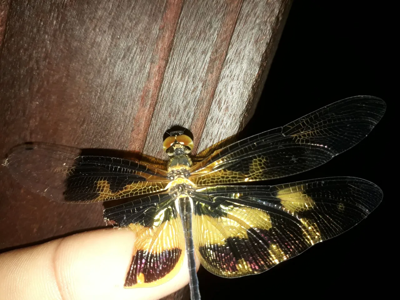 20210510_052413.jpg