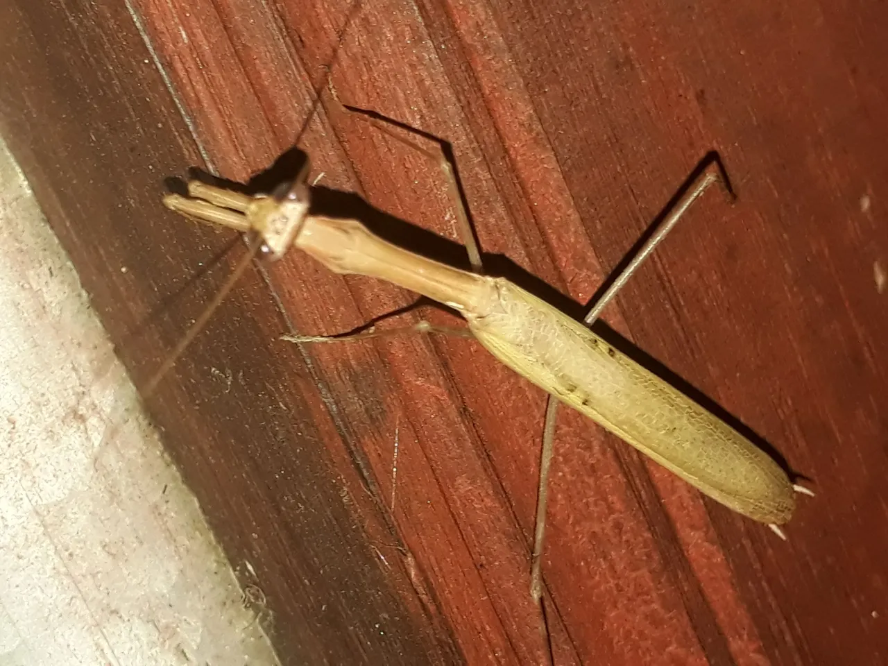 20230609_212211.jpg