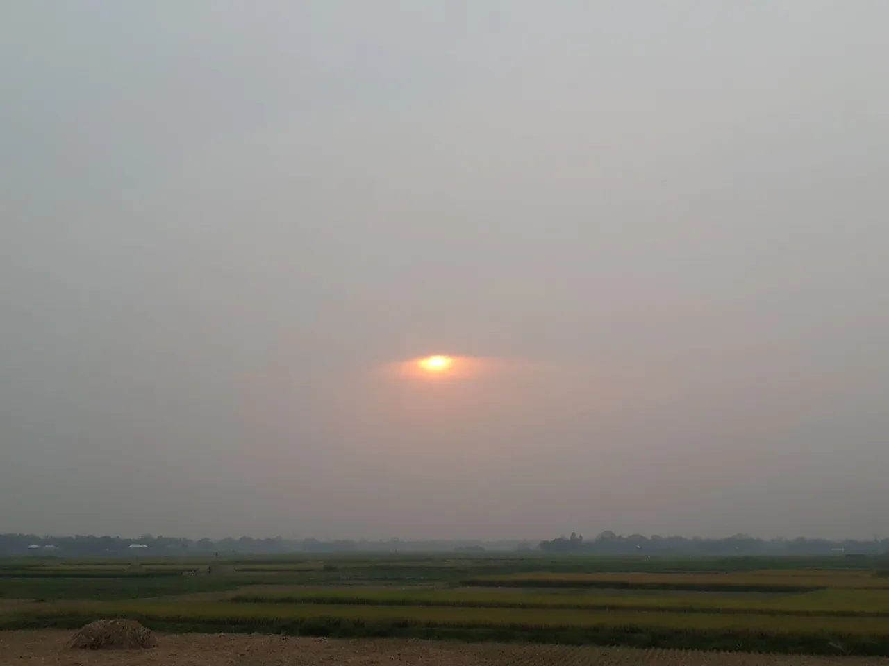 20210422_173730.jpg