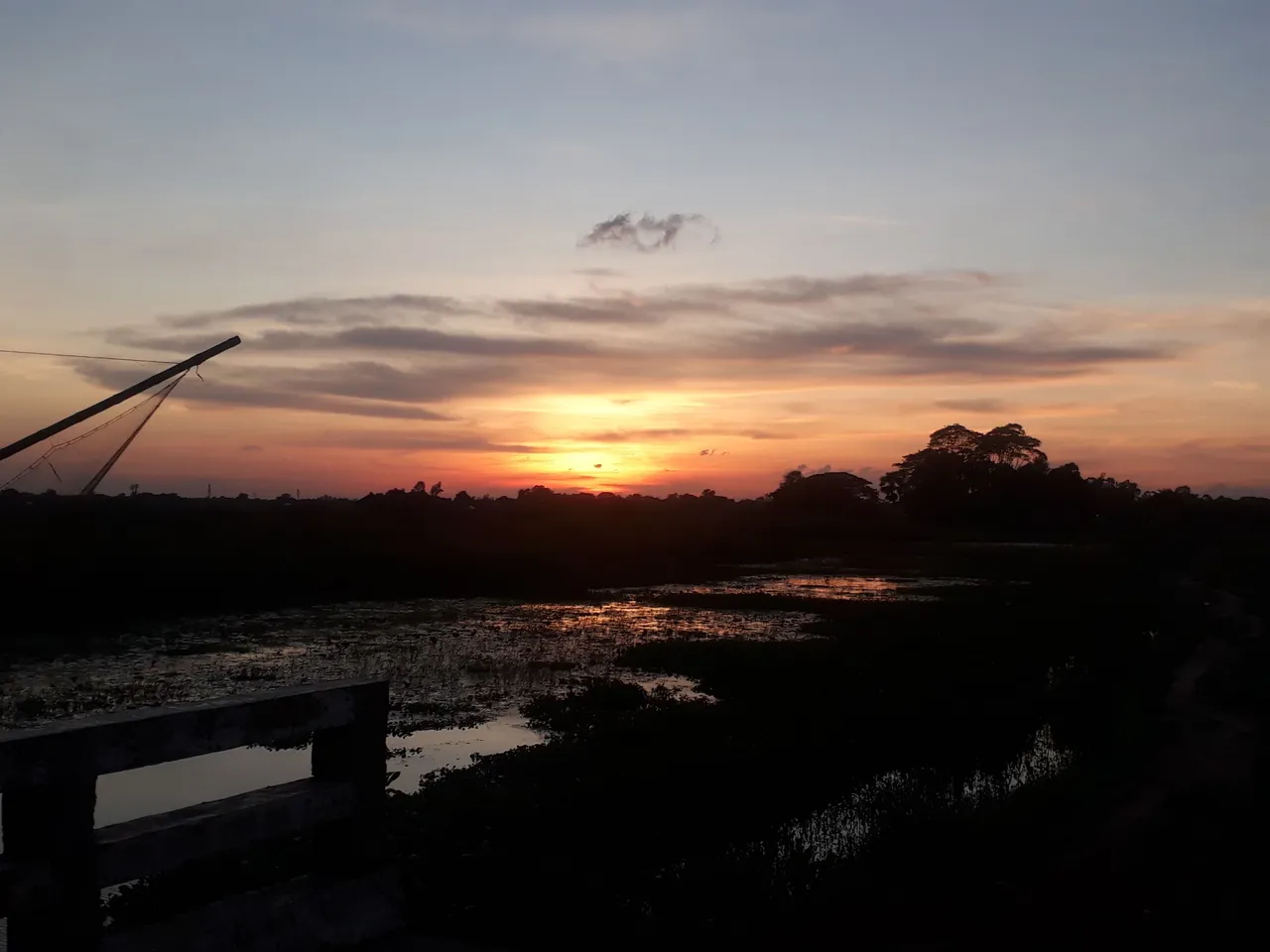 20230818_182905.jpg