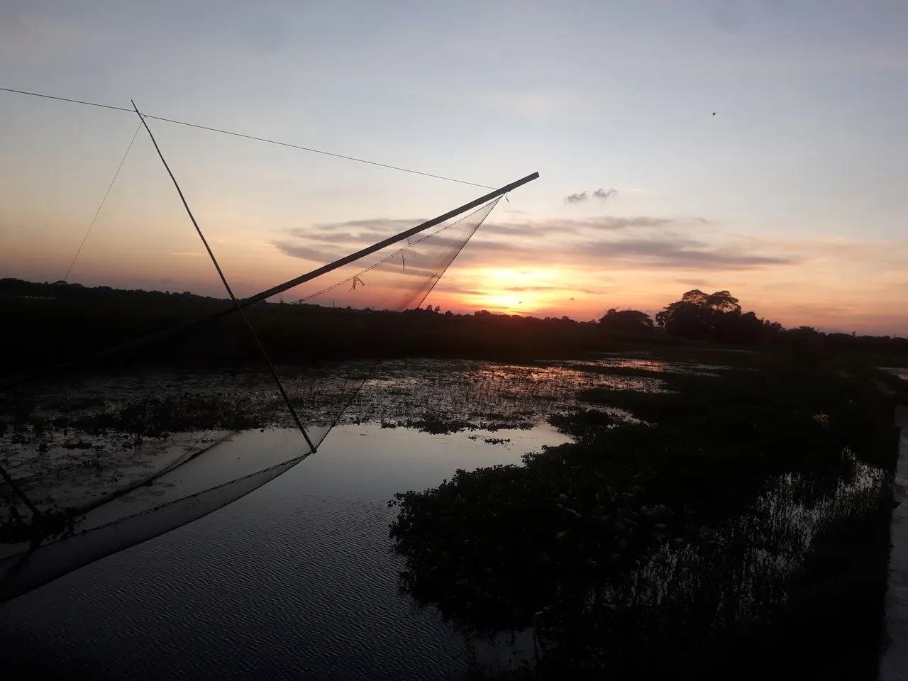 20230818_182956.jpg