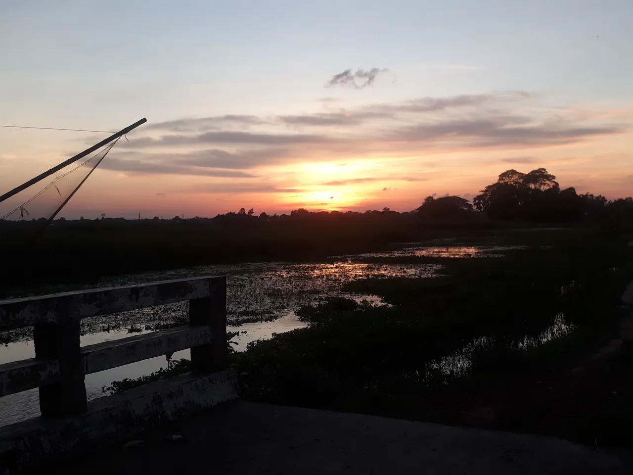 20230818_182912.jpg