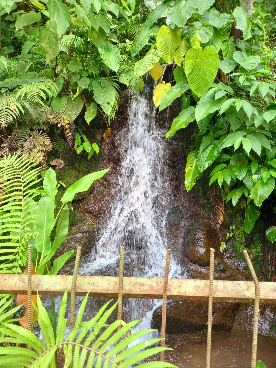20220904_110202.jpg