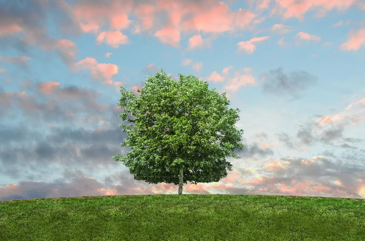 tree-gee44eb1d4_1920.jpg