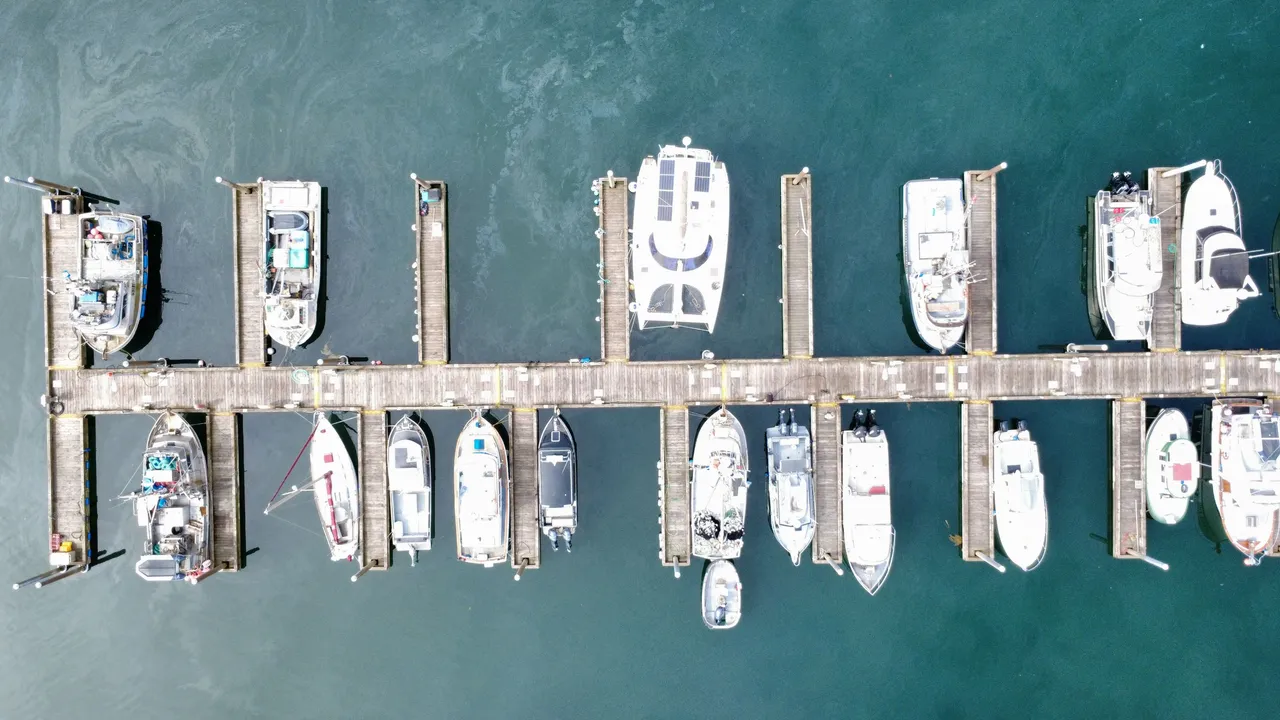 dji_fly_20250719_115656_280_1752955025083_photo_optimized.jpg
