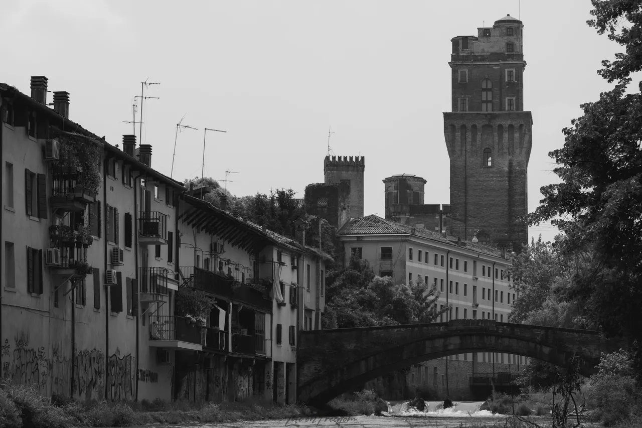 DSC09865-Poprawione-Szum.jpg