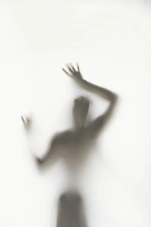 17534955930683652642821495248101.png