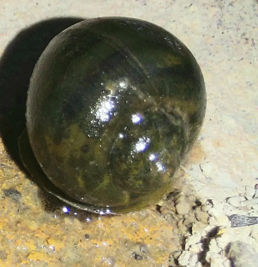 20210427_201744.jpg