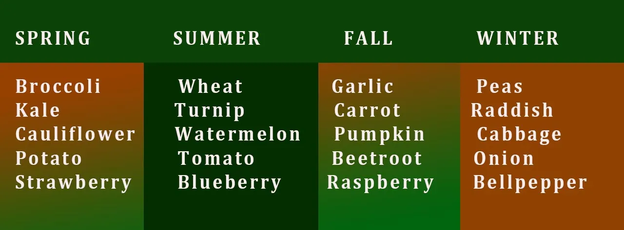 PLANTS.jpg