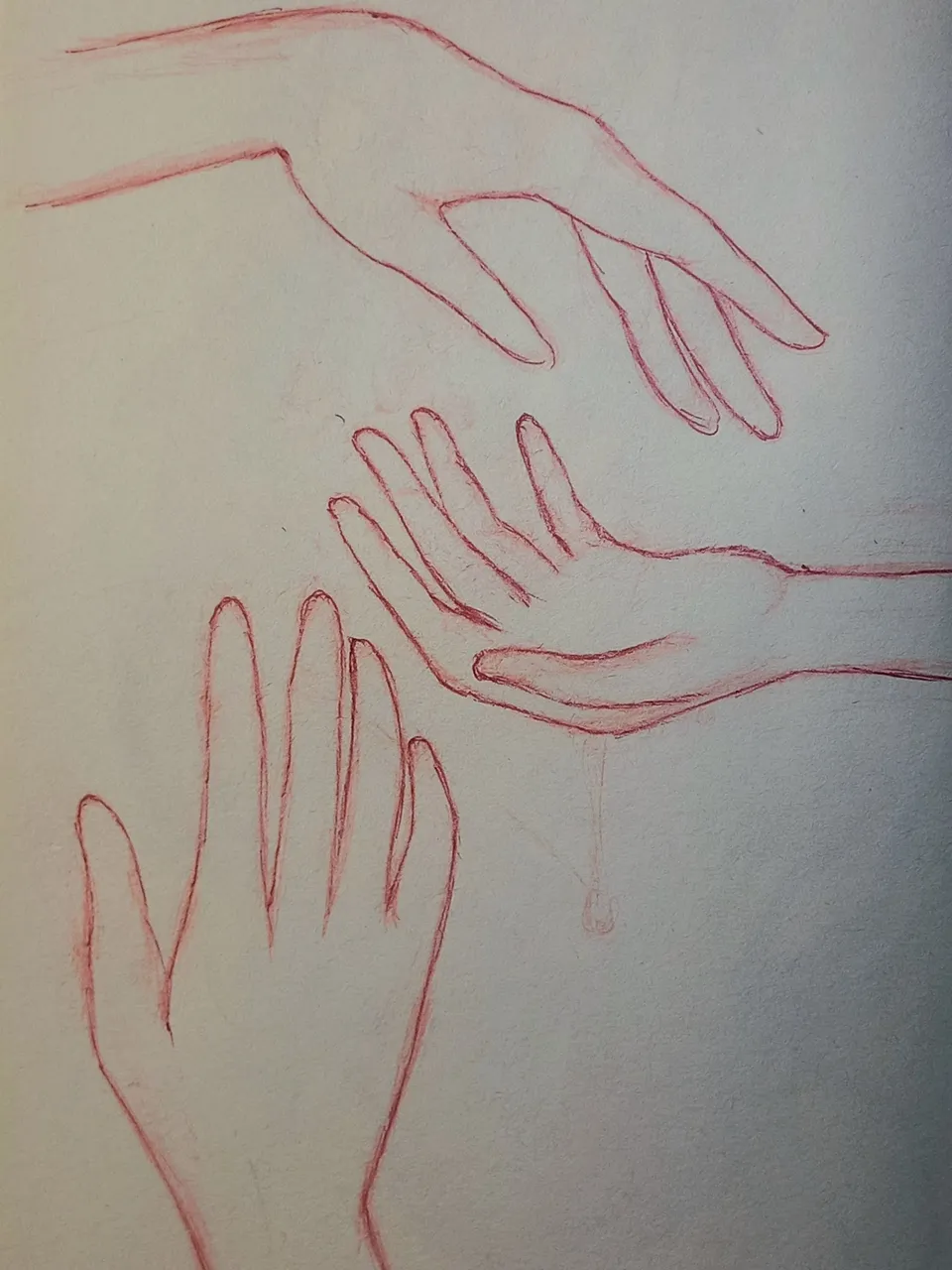 20250331_115958.jpg