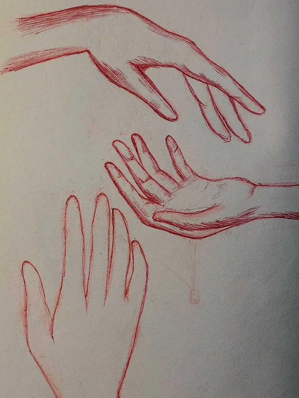20250331_121002.jpg