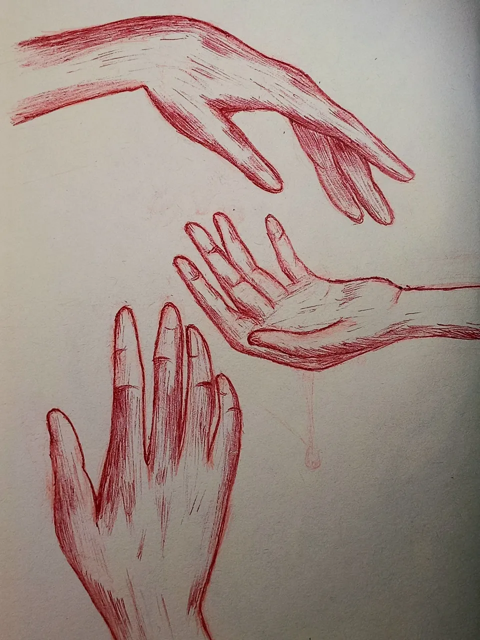 20250331_122723.jpg