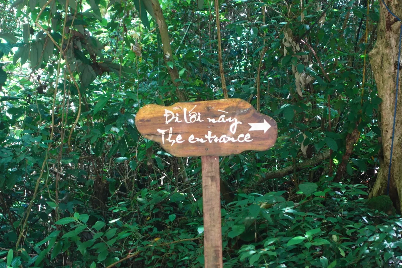 DSC06215.jpeg