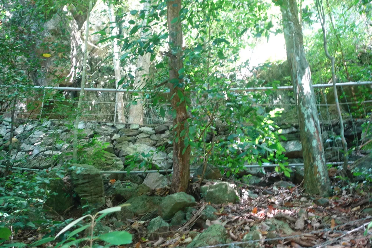 DSC06225.jpeg