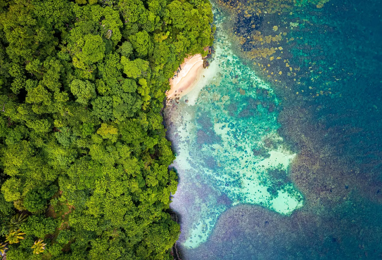 DJI_0216-Edit.jpg