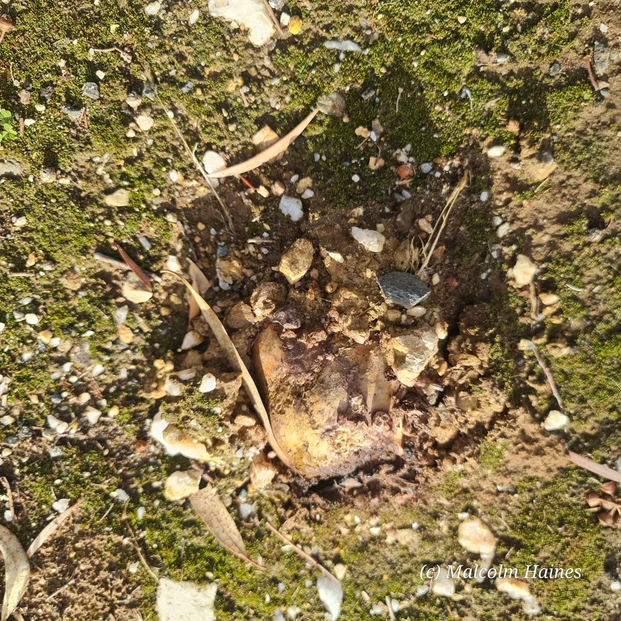 You can see old ones everywhere!