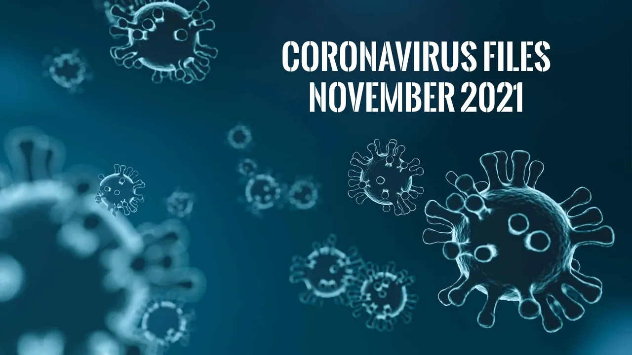 Coronavirus Files - November 2021-4835301_1920.jpg
