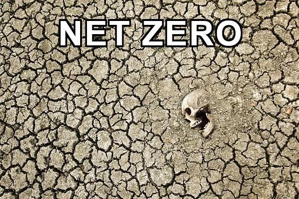 Net Zero-sSGJr66.jpg