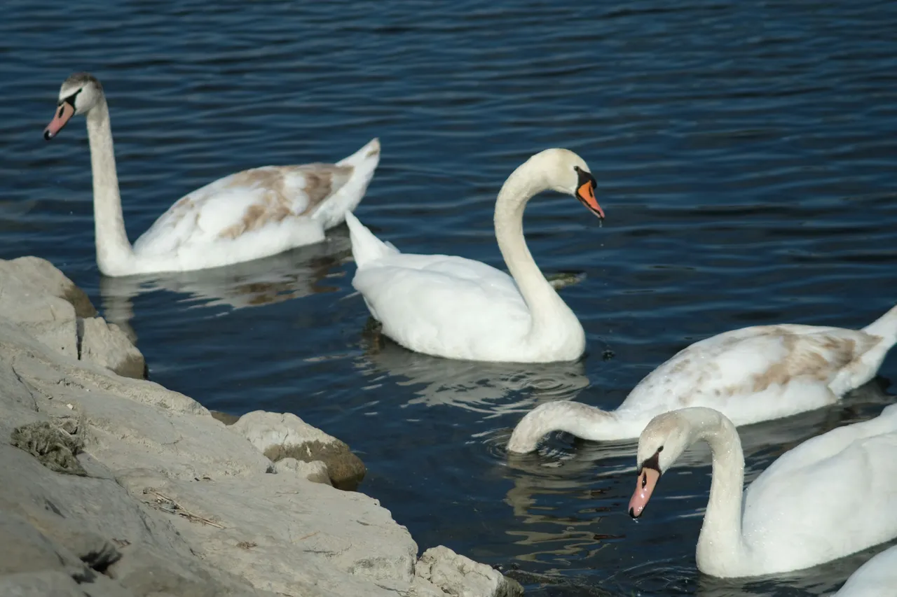 DSCF2618.JPG