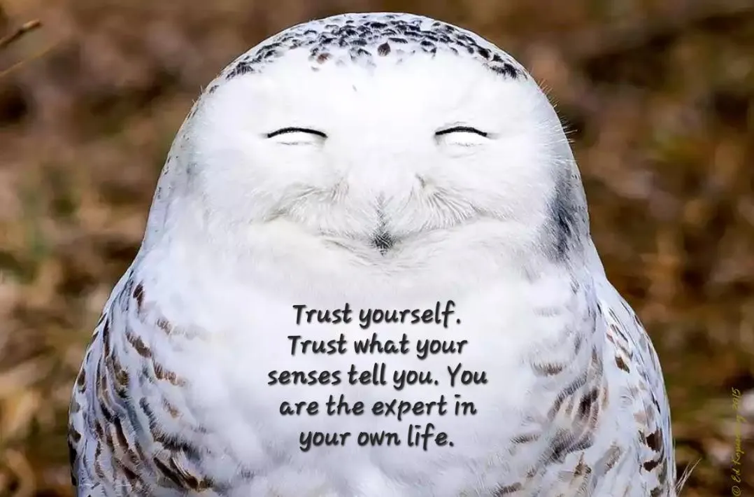 Trust yourself-N4KjXnx.jpg