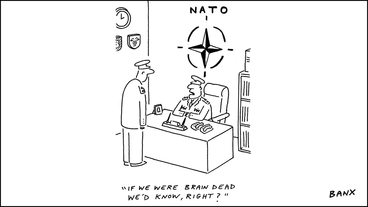 NATO braindead-28ceaff4-16fd-11ea-9ee4-11f260415385.jpg