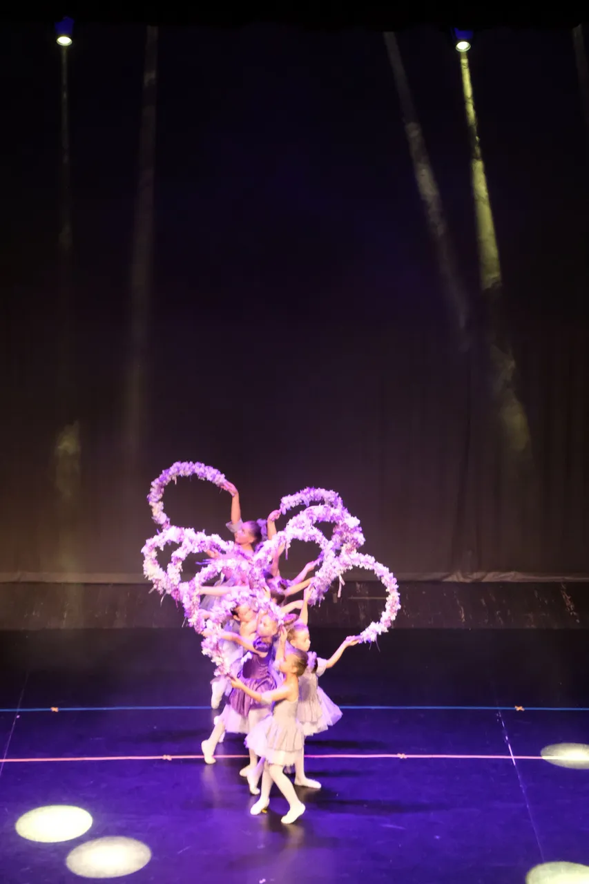 DSCF6950_cr.JPG