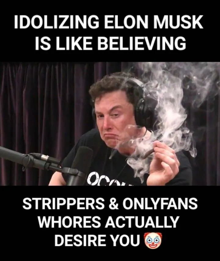 Musk-1ef588a3c33c646f06c46b810bc861b9-original.jpg