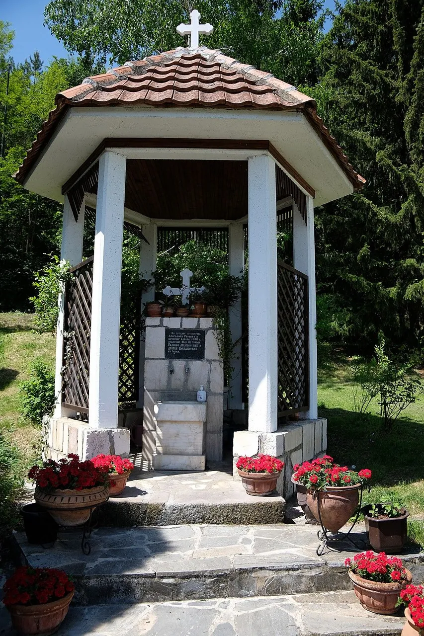 DSCF1066_tn.jpg
