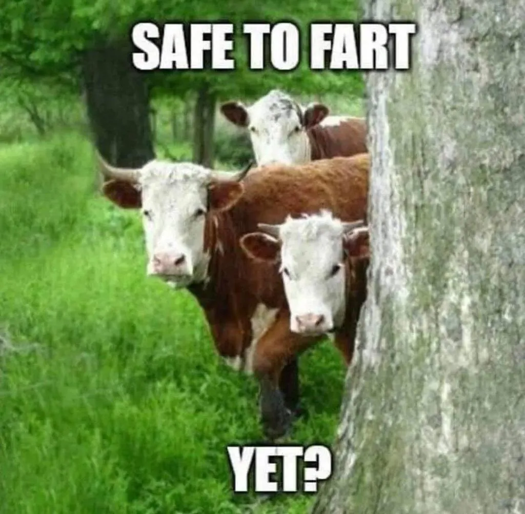 Safe to fart-aWbN2Th.jpg