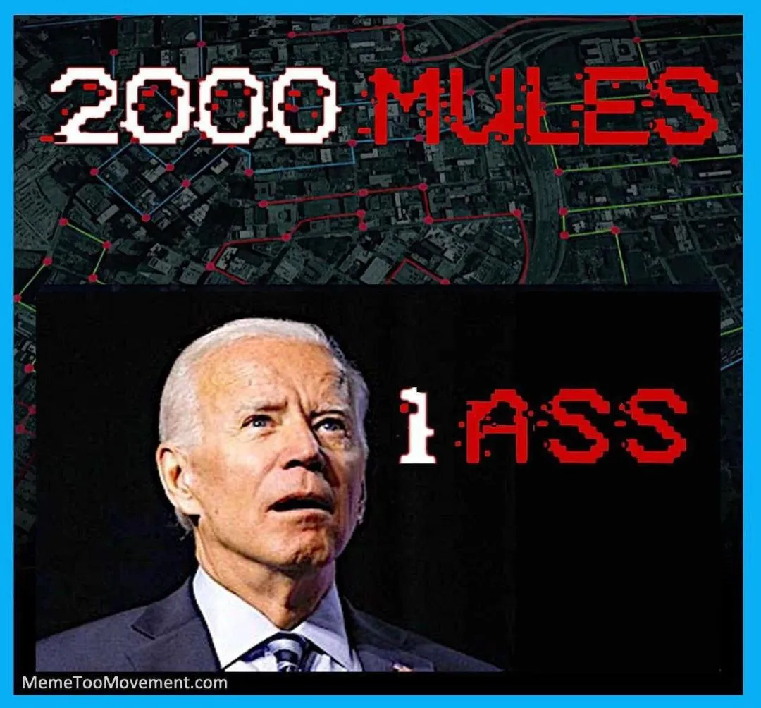 2000 Mules 1 Ass - xPmgXEi.jpg