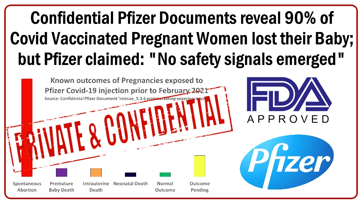pfizer-pregnancy.png