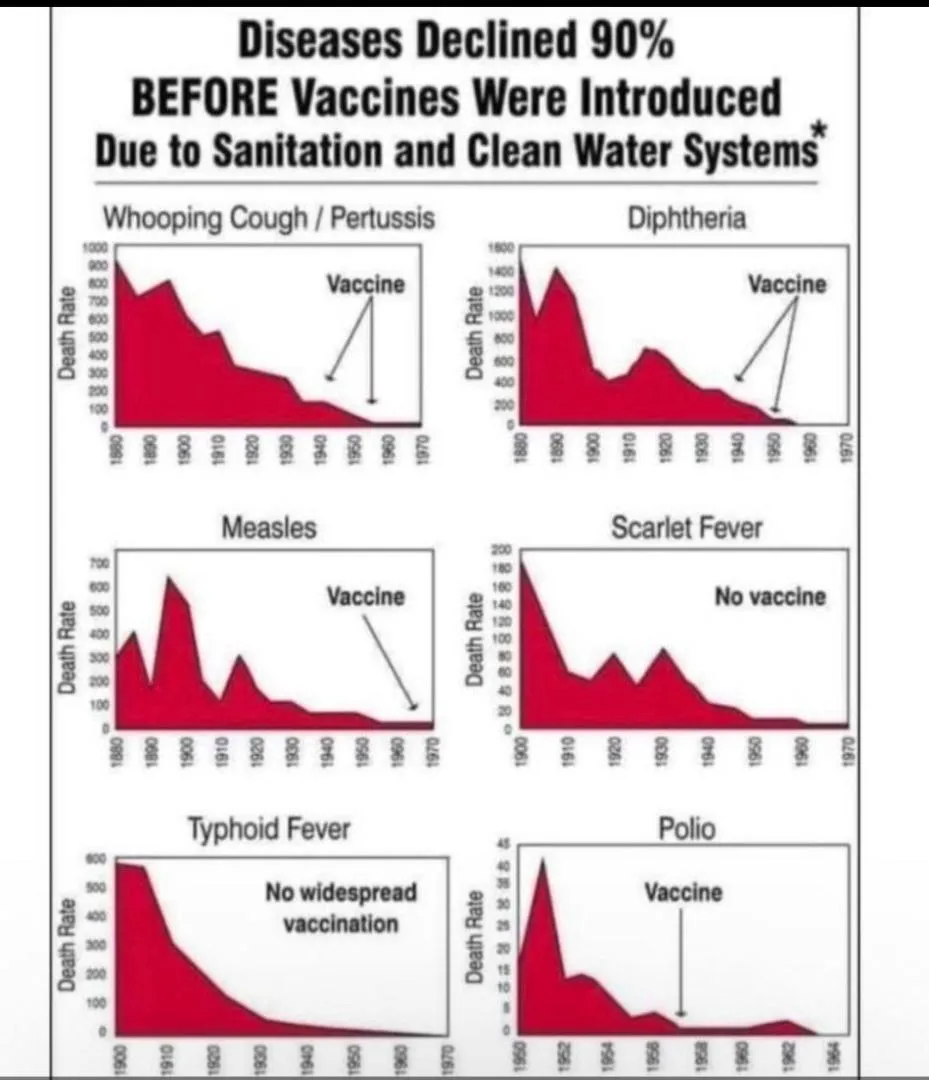 Before vaccine-yGDFzCrGUrATRdNXPViFcP.jpg