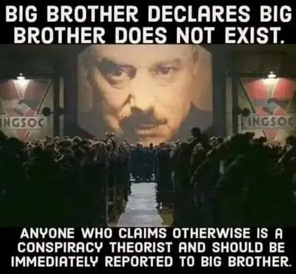 Big Brother-e4f6449d8ee4c2cdc044414b1c049bc7-original.jpg